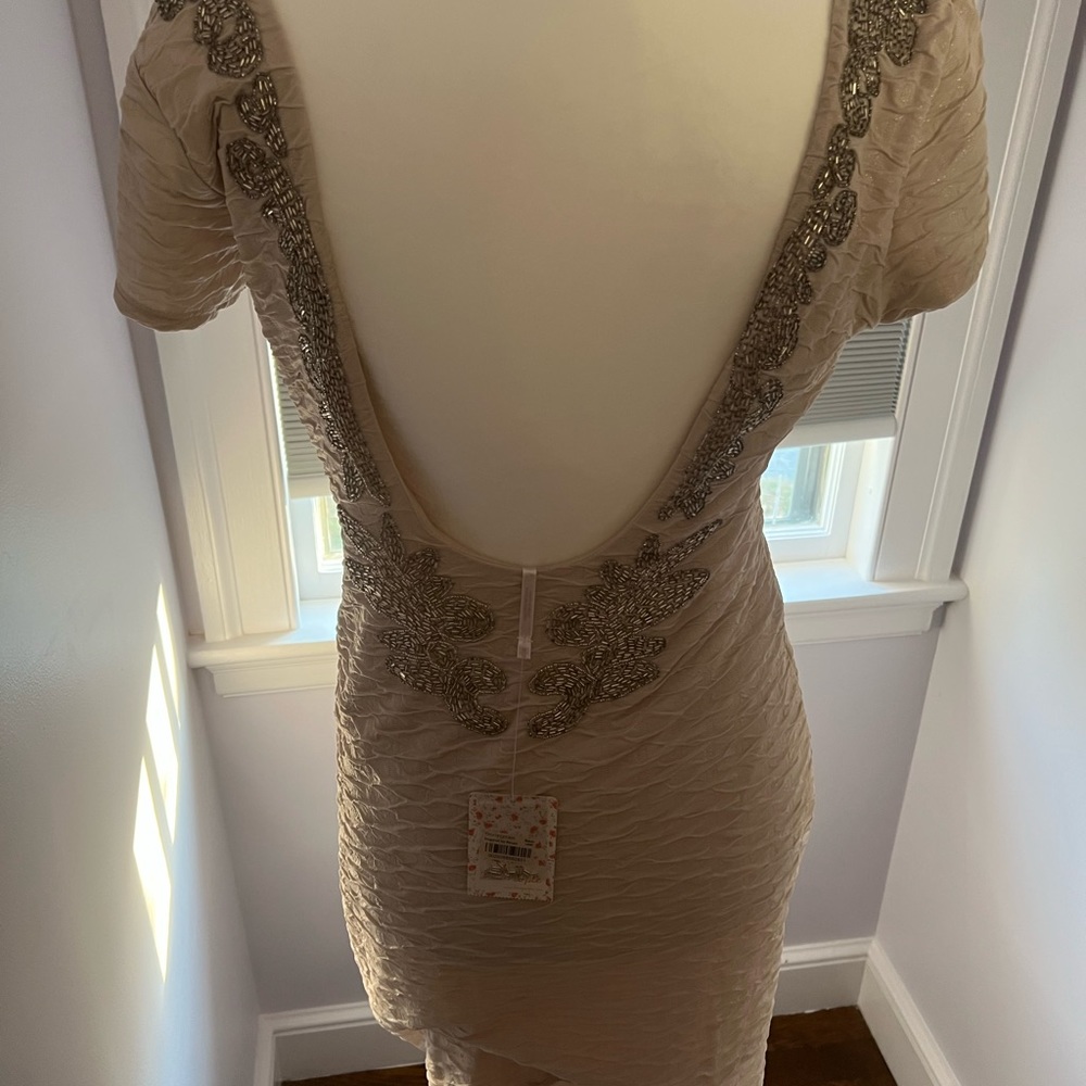 Beautiful fitted low back free people dress.